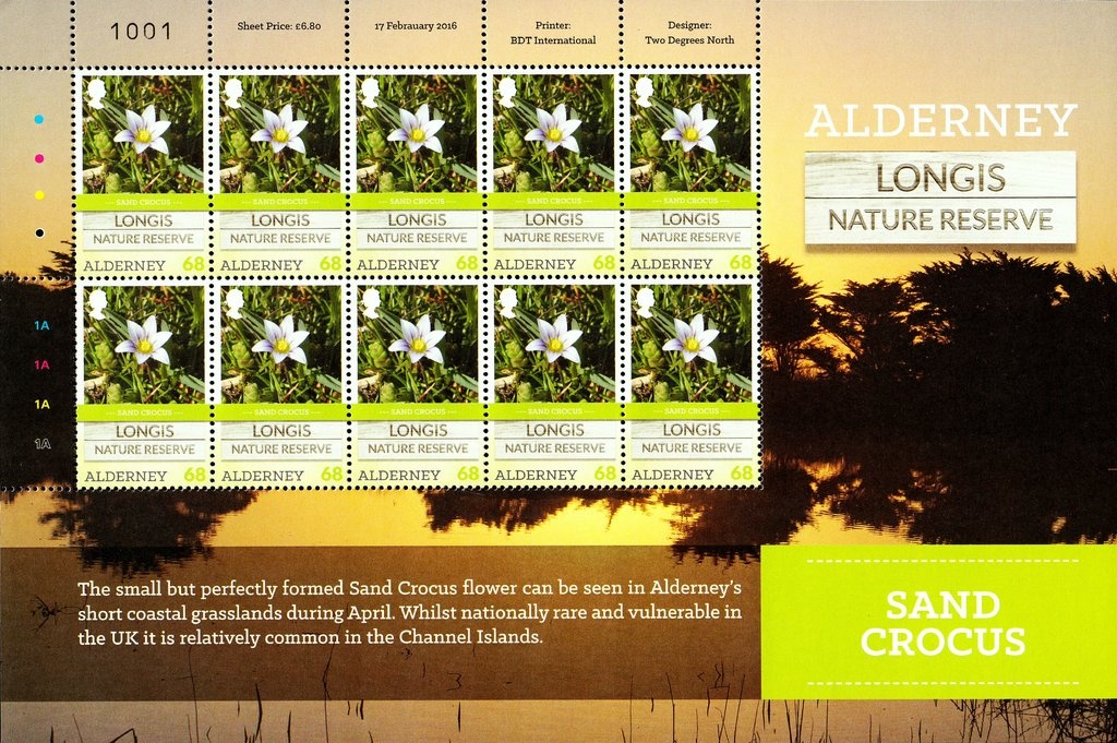 Skanderbeg (George Castriota) and coat of arms