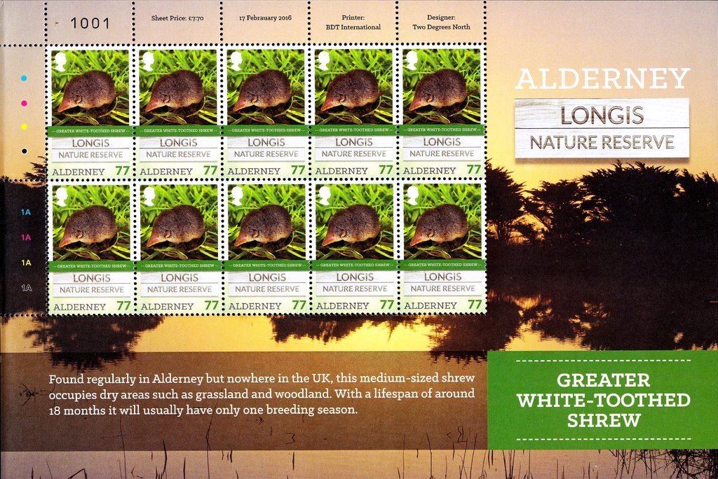 Type Blanc - overprinted "ALGERIE"