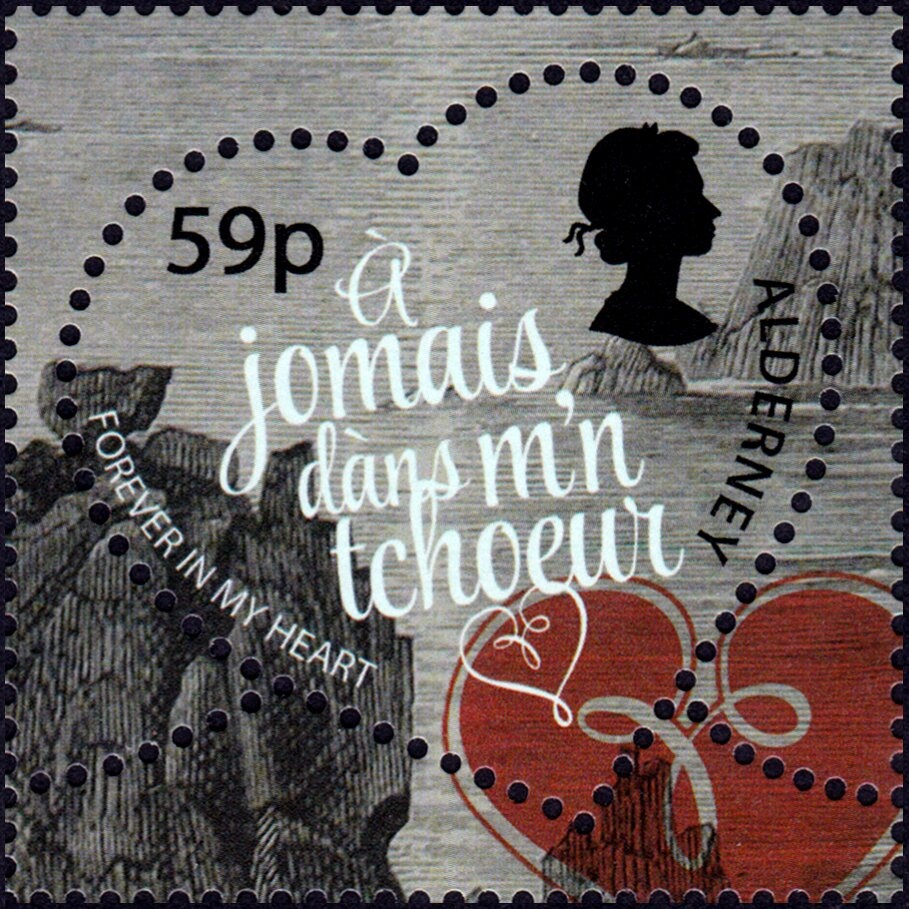 Shelduck (Tadorna tadorna)