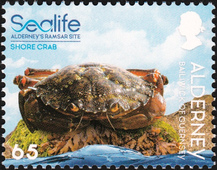 J. T. Daly - Steam Locomotive