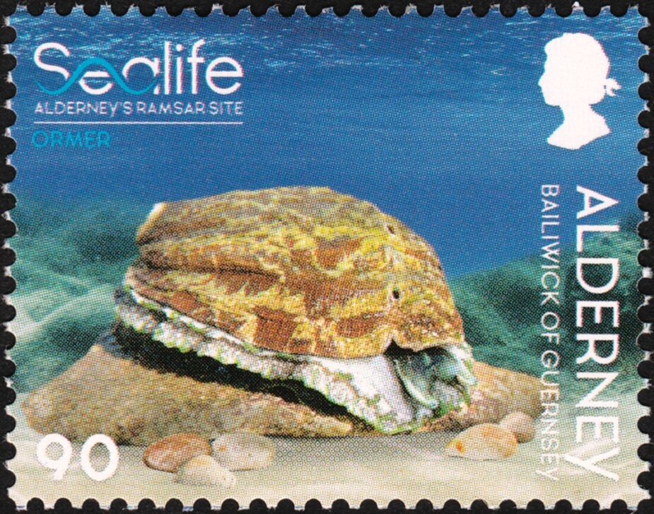 First group space flight of Vostoks 3 and 4