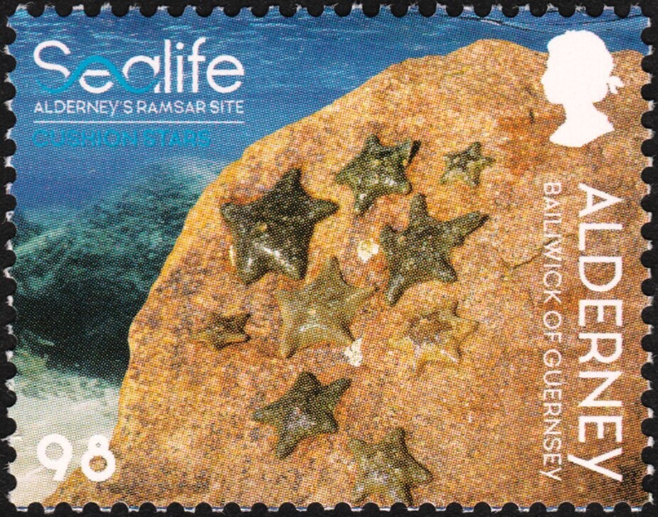 View of the Mustapha Pacha Valley