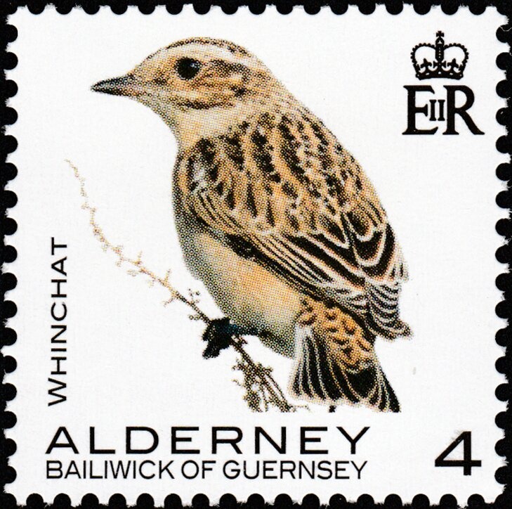 Maps and Hydrofoil. Hydrofoil