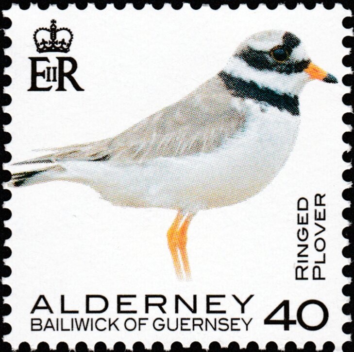 Hydrofoil (red overprint)