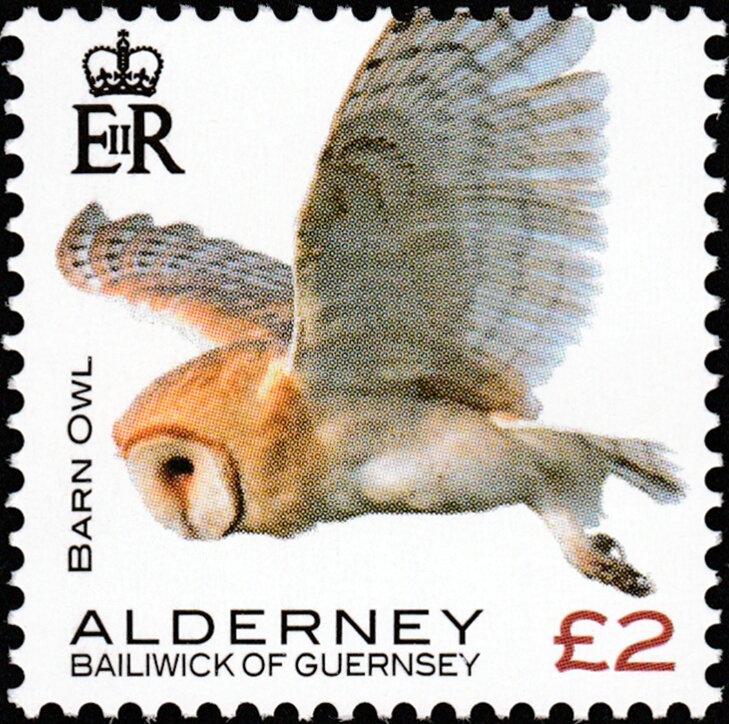 Eagle and Value, overprinted “QIND. AR ” in Red