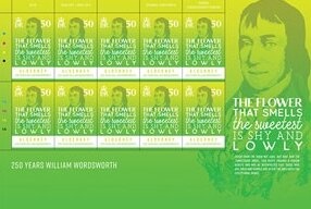 Polyommatus icarus, Anacamptis pyramidalis I(L)