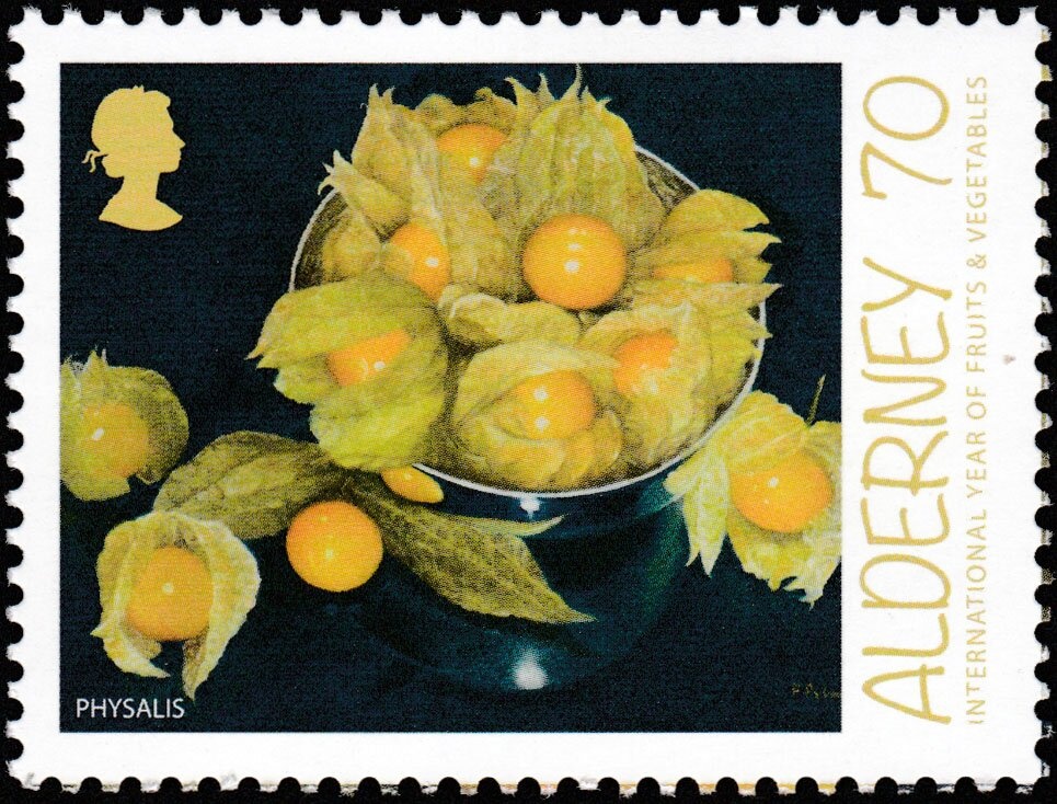 Sidi Boumediene, Tlemcen