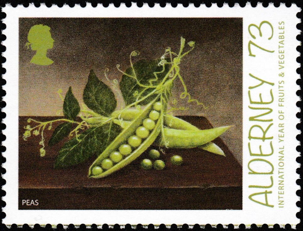 Pilot & Trislander (B)