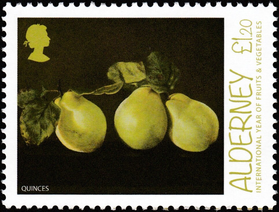 Mohamed Bachir el Ibrahimi