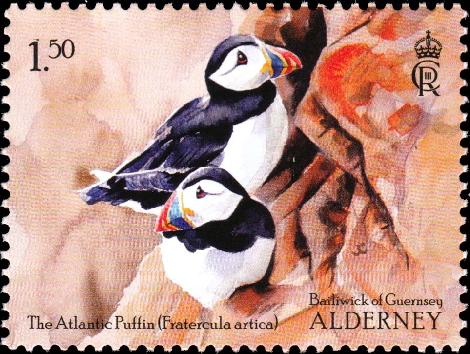 Maps and Hydrofoil. Hydrofoil