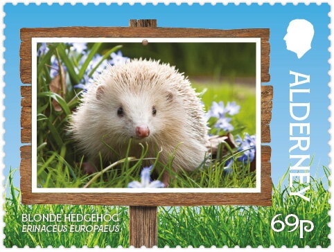 European Mole (Talpa europaea)