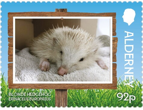 Tlemcen Mosque, Algeria