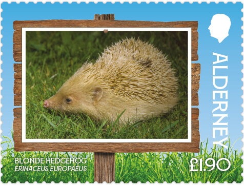 Save Venice Campaign