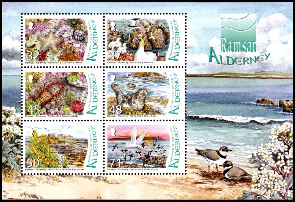 Audouin's Gull (Larus audouinii)