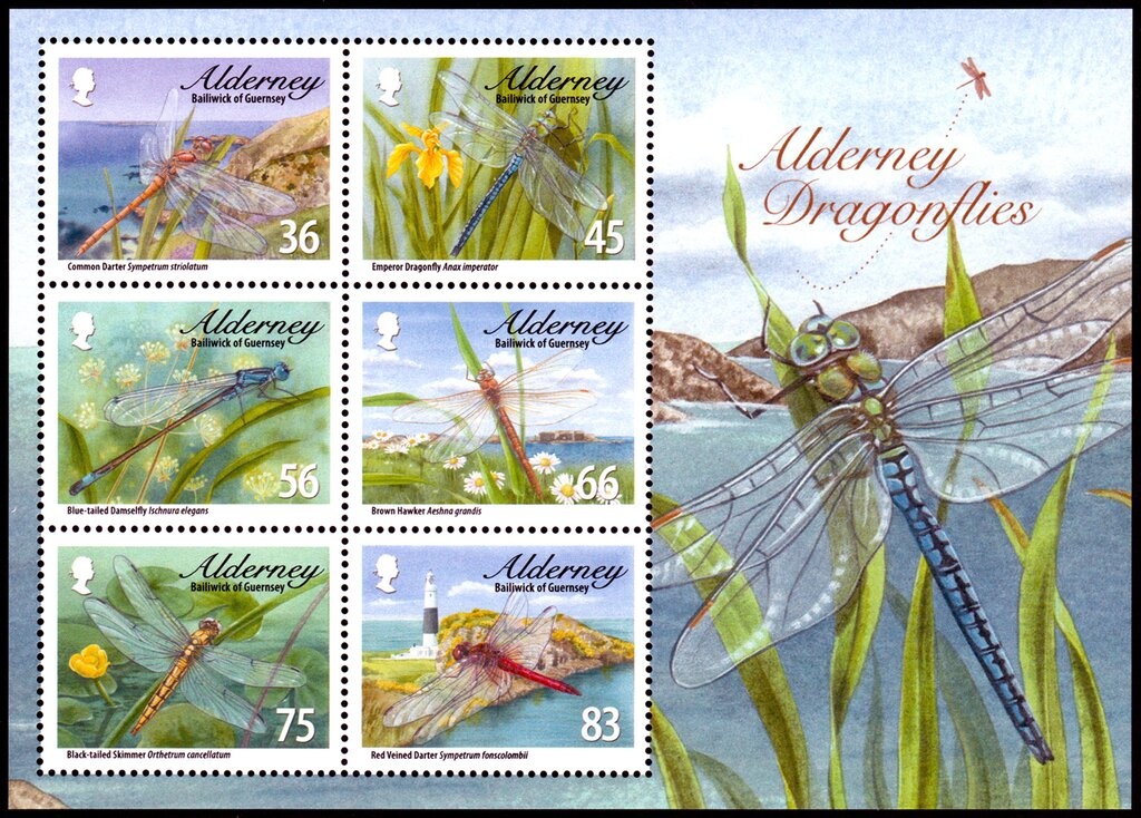 Alderney Fire service