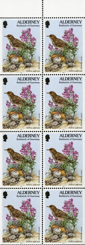 One of the searchlights on a torpedo boat destroyer