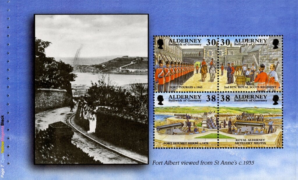 Arctic Skua (Stercorarius parasiticus)