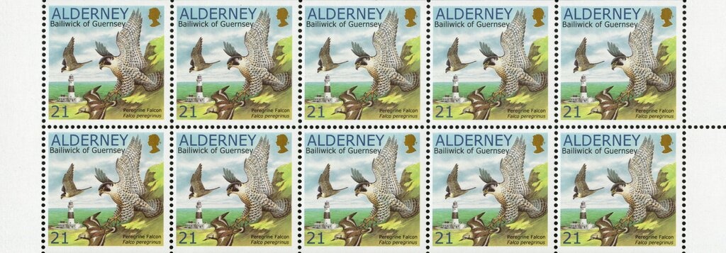 South Hampshire Regiment 1810