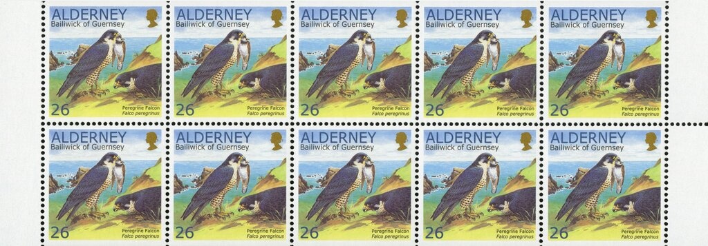 Overlooking the Bay of Algiers, 5 trees