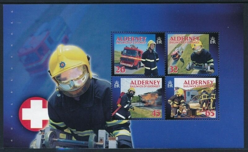 Harlequin Ladybird (Harmonia axyridis)