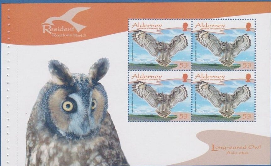 Common Darter (Sympetrum striolatum)