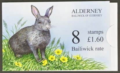 Drugstore Beetle (Stegobium paniceum)