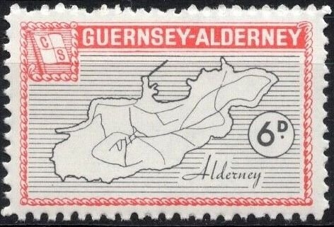 Houbara Bustard (Chlamydotis undulata)