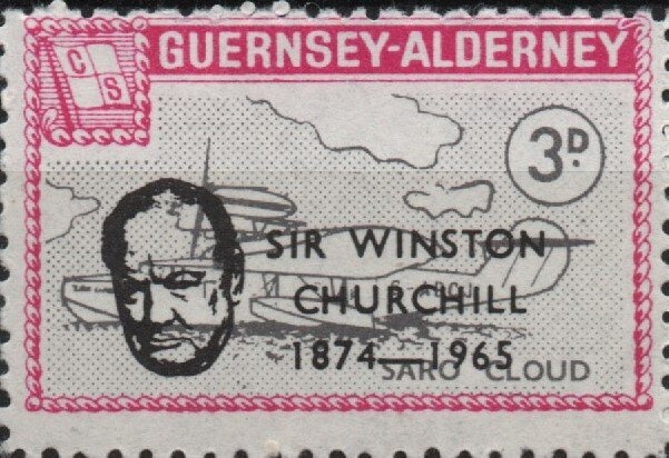 Fan Coral (Eunicella verrucosa)