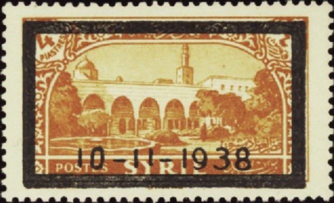 Kestrel (Falco tinnunculus)