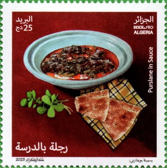 Atlantic Puffin (Fratercula arctica)