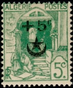 Emperor Dragonfly (Anax imperator)