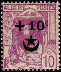 Desert truffle (Terfezia leonis)