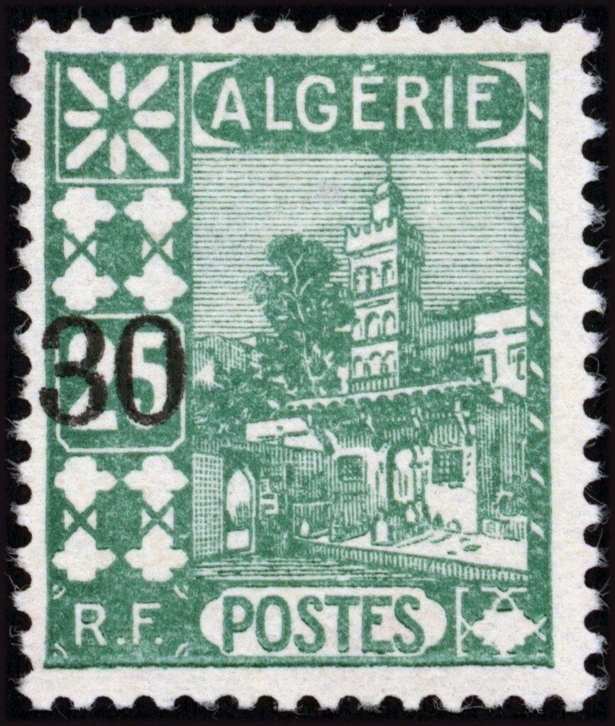 Peregrine Falcon (Falco peregrinus)