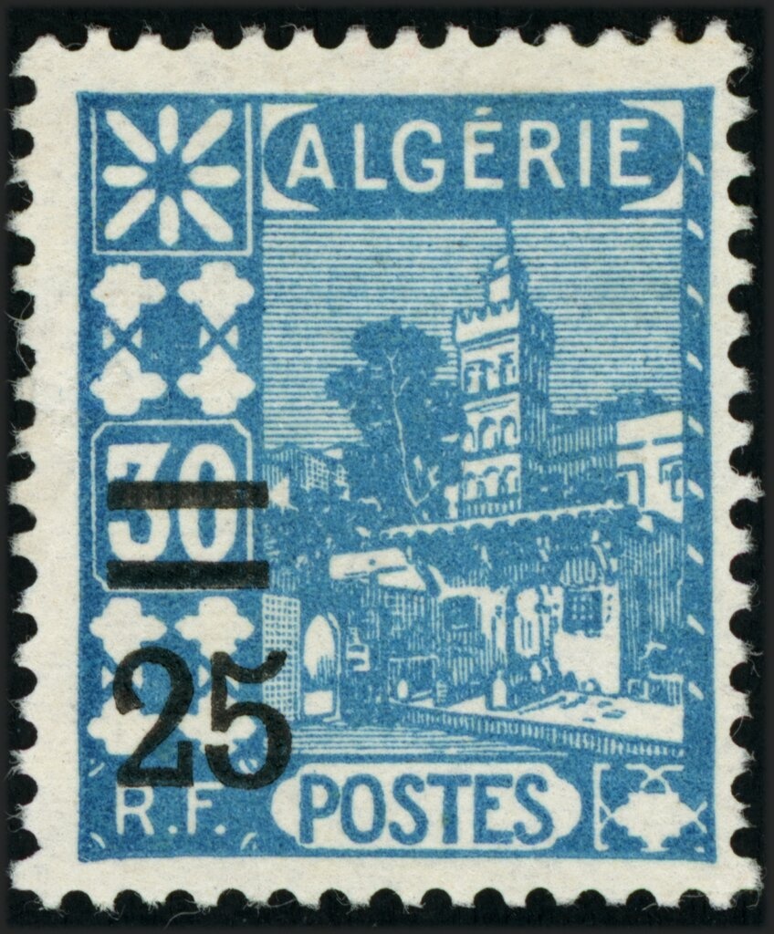 White Stork (Ciconia ciconia)