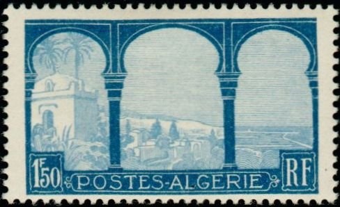 Common Ringed-Plover (Charadrius hiaticula)