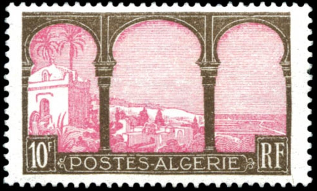 Peregrine Falcon (Falco peregrinus) feeding Fledgling