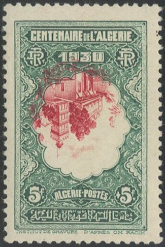 Dwarf Thistle (Cirsium acaule)