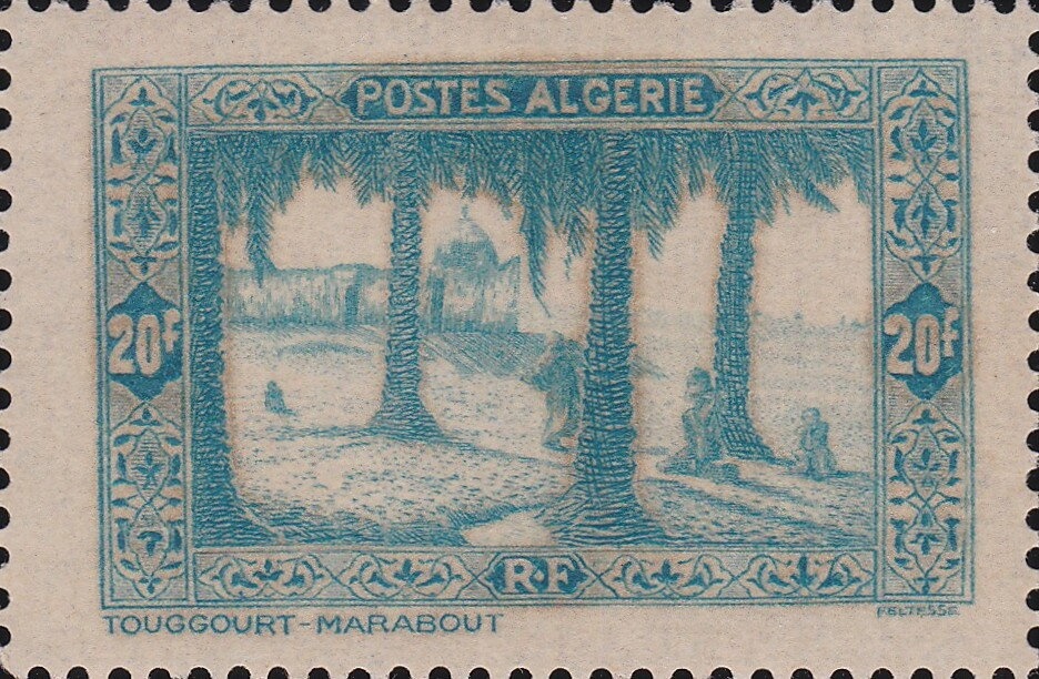 Birds, Oystercatcher