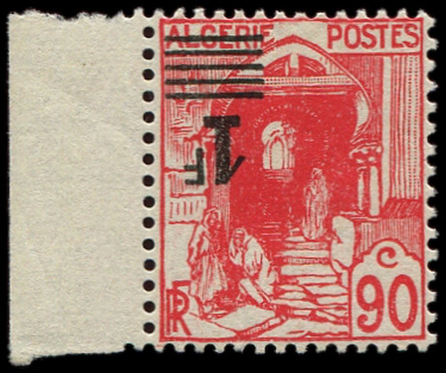 European Storm Petrel (Hydrobates pelagicus)