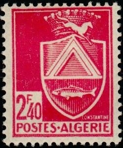 Cushion Starfish (Asterina gibbosa)