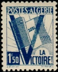 Dwarf Thistle (Cirsium acaule)