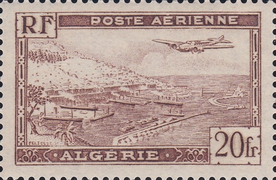 Wildcat (Felis silvestris)