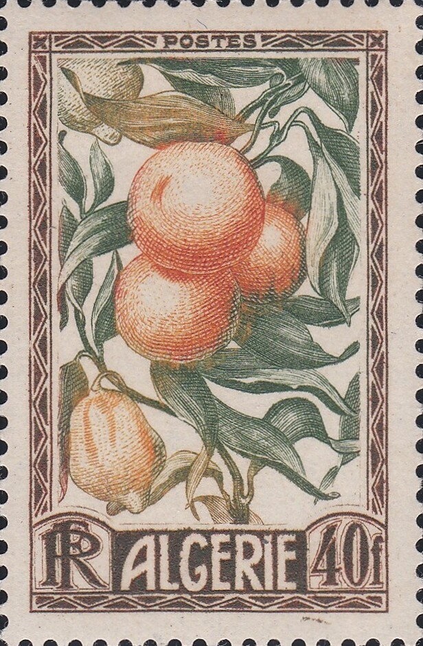 Potez 56 Airplane over Algiers Harbor