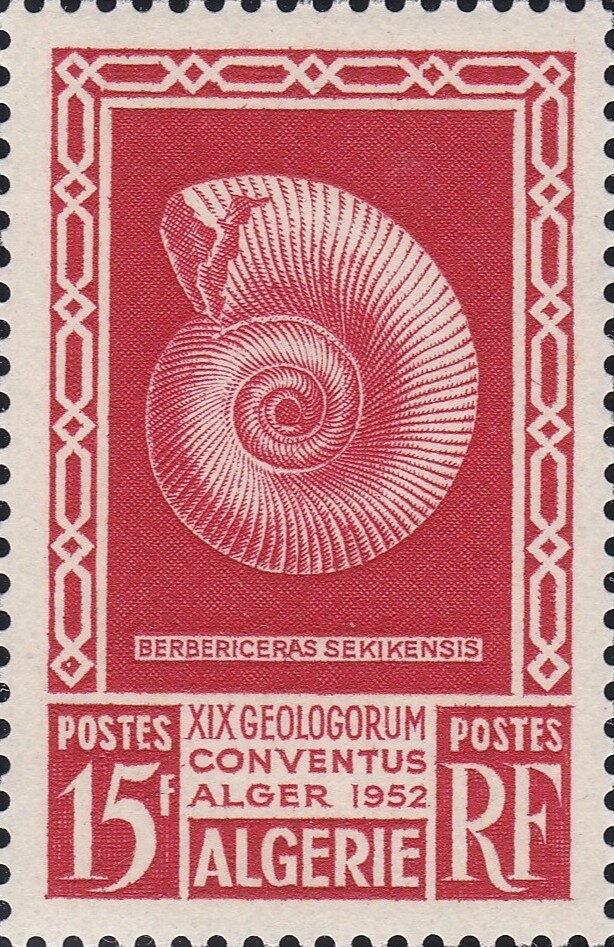 Wedding Party at the Albert Gate