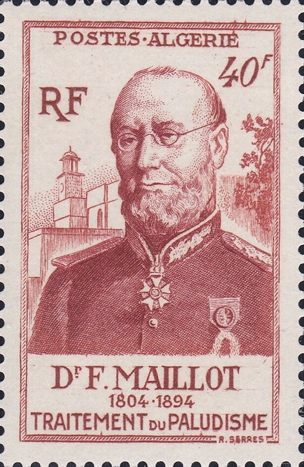 Blonde Hedgehog (Erinaceus europaeus)