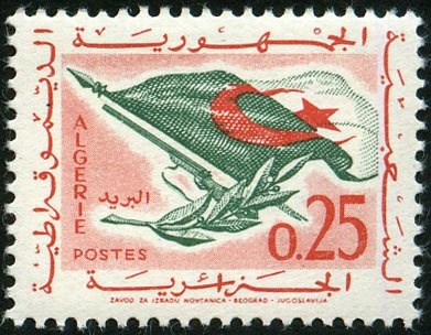 Iris (Iris unguicularis)