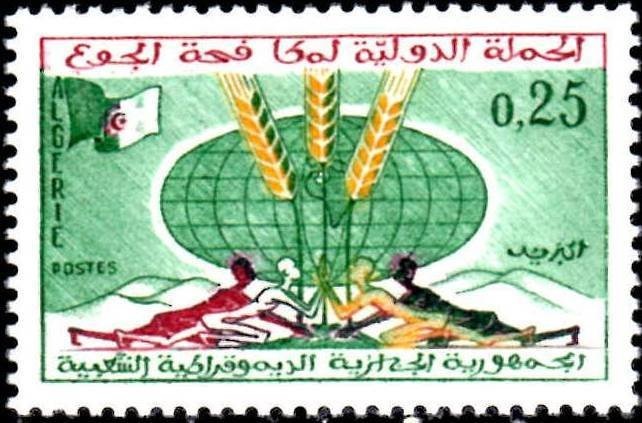 Chifa Virtual Digital Social Security Card