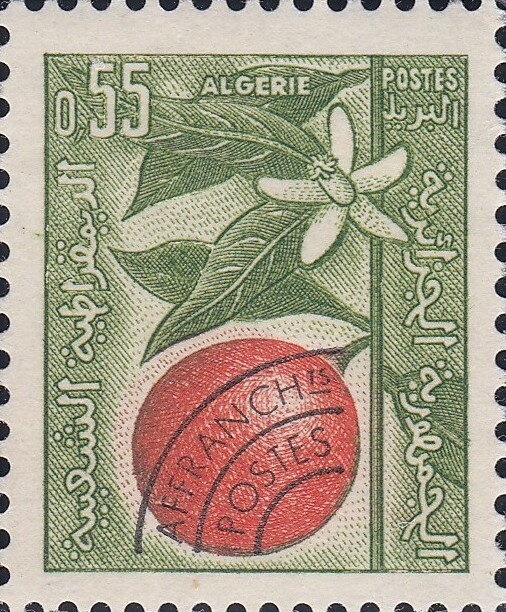 Almoravid dinar, 11th century