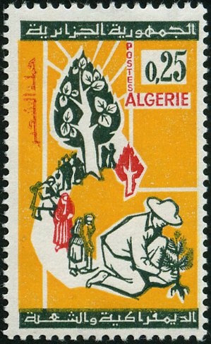 Inauguration of Cheraga Olympic Stadium