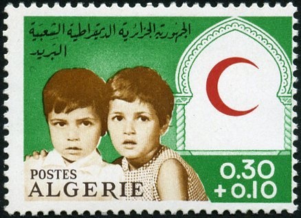 Northern Fulmar (Fulmarus glacialis), Ice Plant (Carpobrotus